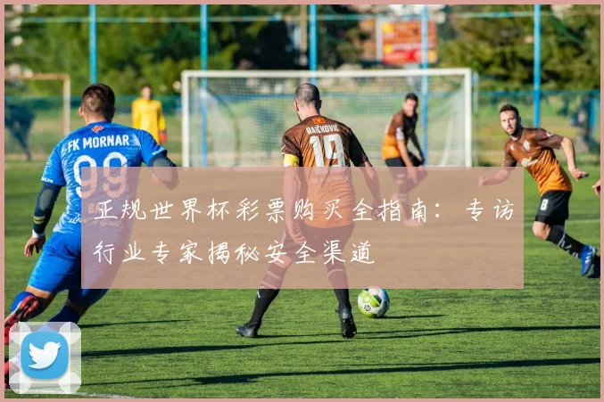 正规世界杯彩票购买全指南：专访行业专家揭秘安全渠道