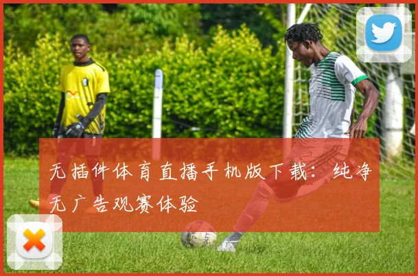 无插件体育直播手机版下载：纯净无广告观赛体验