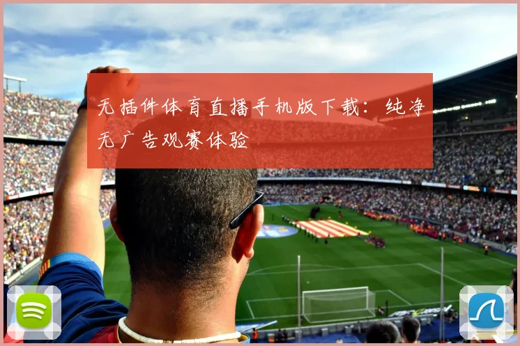 无插件体育直播手机版下载：纯净无广告观赛体验